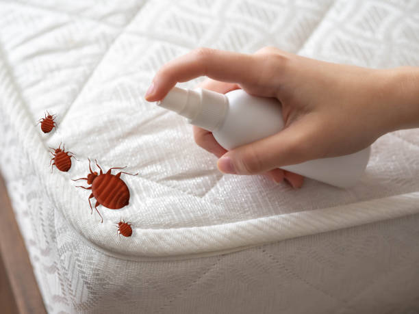 Best Pest Control for Hotels  in Brownstown, IN